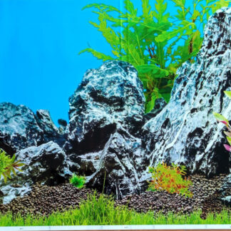 18x12 (HxL) Inch Fish Tank Background - B