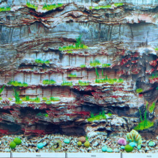 12x12 Inch Fish Tank Background [Square Feet] - D