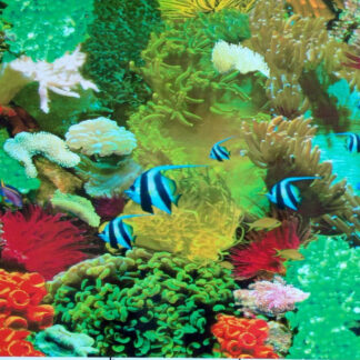 12x12 Inch Fish Tank Background [Square Feet] - E